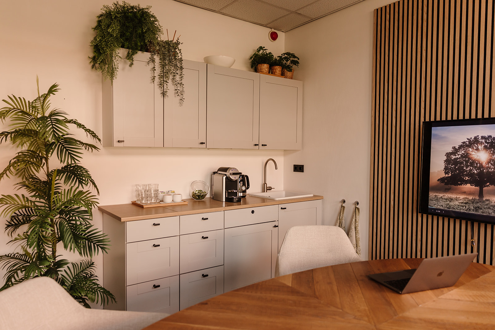 Kitchenette met planten en koffie